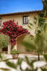 Monsignor Della Casa Country Resort
