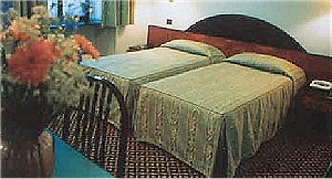 Hotel Amadeus