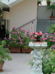 Hotel Villa Elite