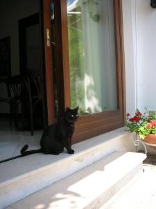 Hotel Villa Beatrice