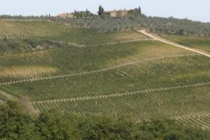 Relais Riserva di Fizzano