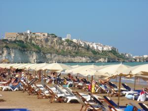 Paradiso Selvaggio
