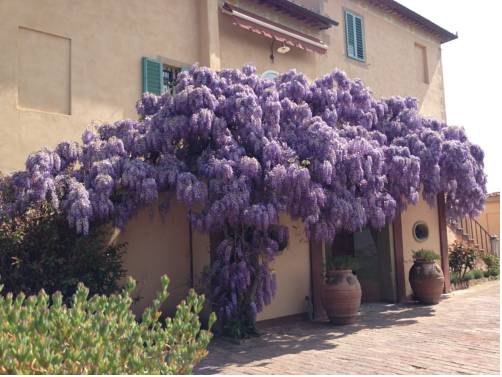 Hotel Palazzo di Valli