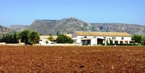 Agriturismo Masseria sul Mare