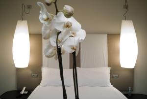 Hotel Casa Poli