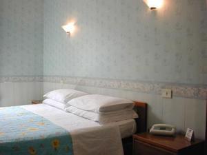 Hotel Pincio