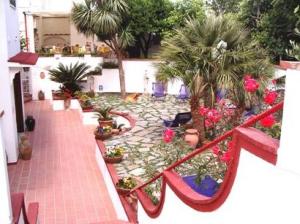 Mediterraneo Guest House