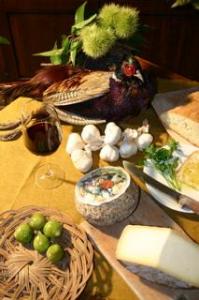 Terre D'Orcia