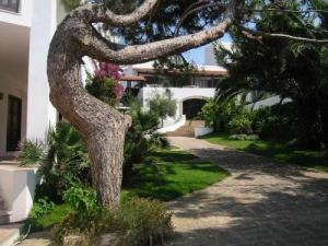 El Faro Hotel
