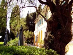 Tenuta La Bandita