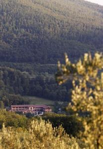 Meridiana Country Hotel