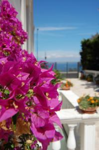 Hotel Villa Garden