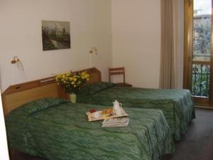 Hotel Adler