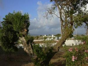 Relais Antiche Saline