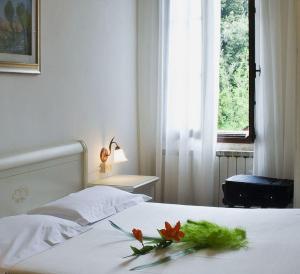 Hotel Stella Alpina