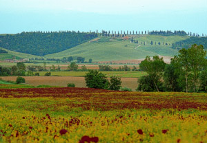 Chianti Promotion Hotel Calzaiolo