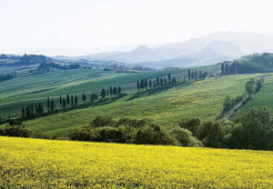 Chianti Promotion Hotel Calzaiolo