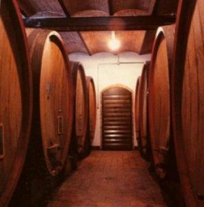 Castello di Selvole