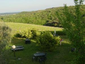 Castello di Selvole