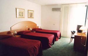 Ascot Lodging