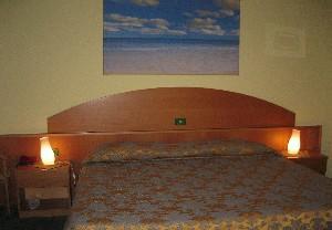 Ascot Lodging