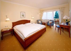 Hotel Aster