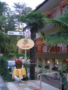 Hotel Aster