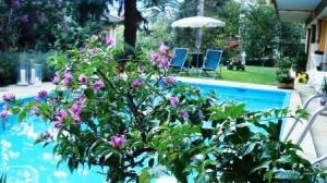 Hotel Aster