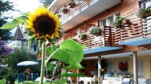 Hotel Aster