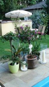Hotel Aster