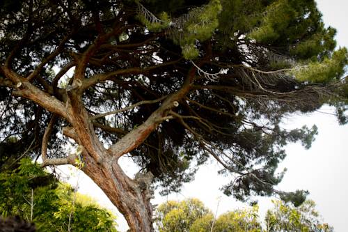 Giardino del Marchese di Altavilla