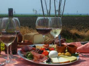 Agriturismo Podere Giulio