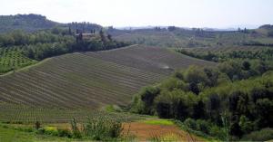 MSNRelais Fattoria il Bacio