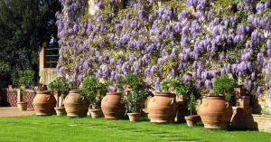 MSNRelais Fattoria il Bacio