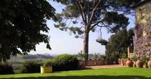 MSNRelais Fattoria il Bacio