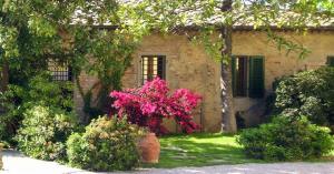 MSNRelais Fattoria il Bacio