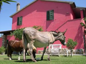 Locanda le Mandriane