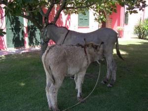 Locanda le Mandriane