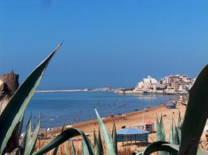 Costaiblea