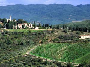 Borgo Di Pietrafitta Relais