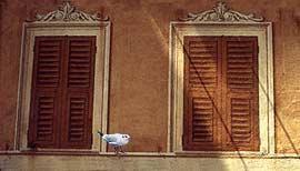 Albergo Augusta