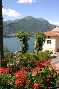 Il Molo