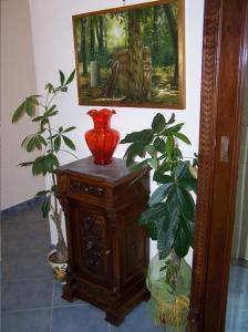 Hotel Soleluna