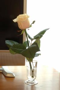 Relais Le Clarisse