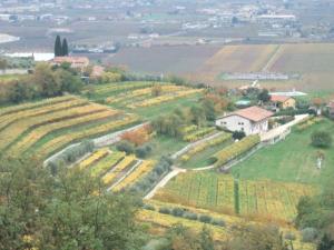 Villa San Giorgio