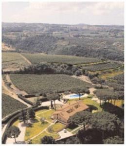 Tenuta Cusmano