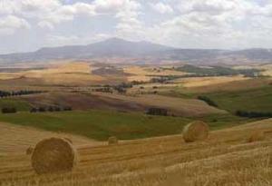 Agriturismo Il Colombaiolo