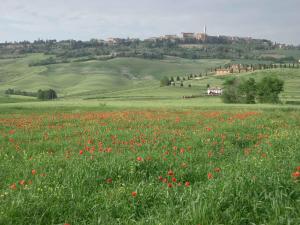 Agriturismo Il Colombaiolo