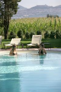 Resort e Spa San Crispino