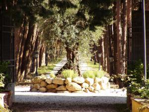 Resort e Spa San Crispino